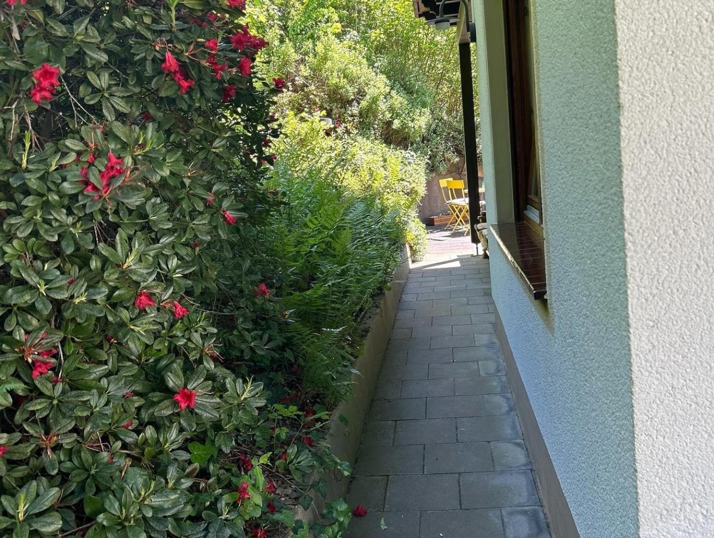 Ferienwohnung Sonneck Altenahr Exterior foto